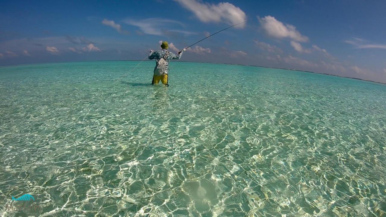 Masfalhi View Inn Felidhoo Exteriér fotografie
